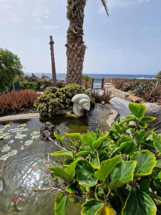 Little Paradise In El Medano 2 contacts
